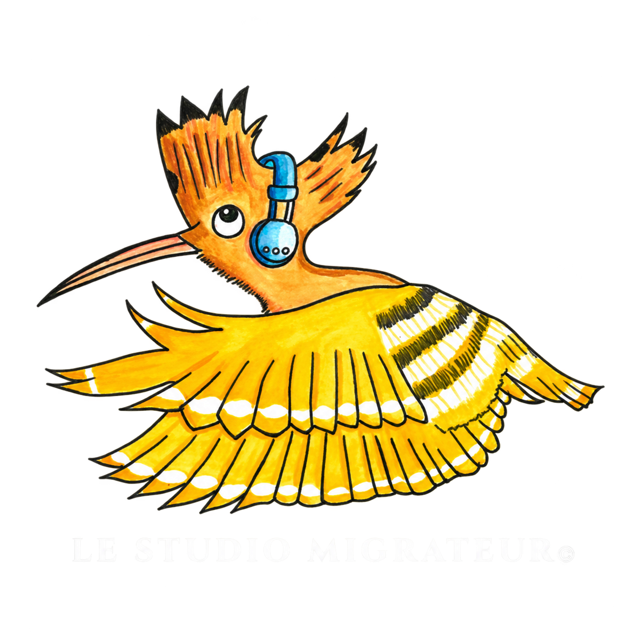 Studio Migrateur